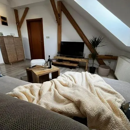 Anezka, U Ostravar Areny Apartament *