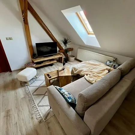 Apartment Anezka, U Ostravar Areny *