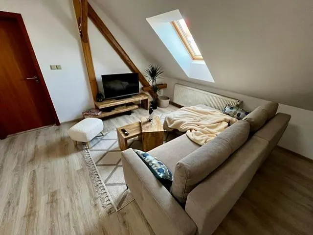 Apartament Anezka, U Ostravar Areny *